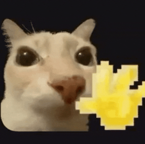 Cat waving hello